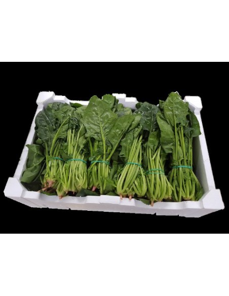 ESPINACAS CAJA