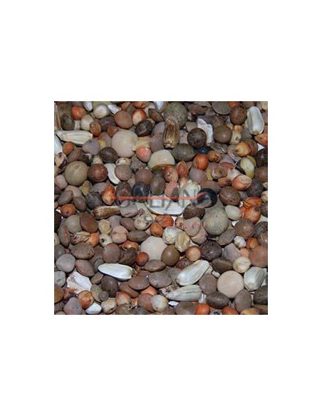 MIXTURA ESPECIAL N.1 PALOMOS DEPORTIVOS 20 KG.