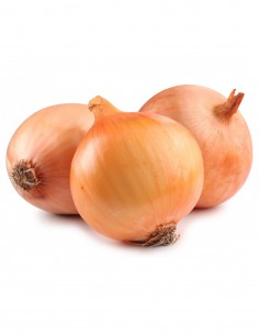 CEBOLLA MEDIANA TEMPORADA