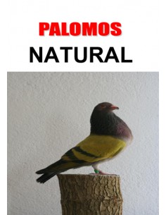 PIENSO PALOMAS NATURAL 25 KG.