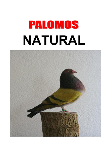 PIENSO PALOMAS NATURAL 25 KG.