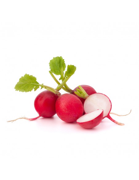 Rabanito Snack 125 x 6