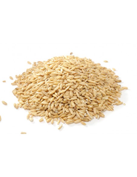 AVENA 25 KG.