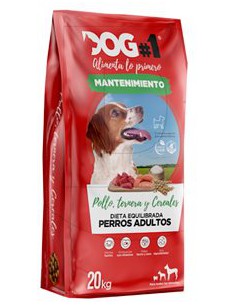 PIENSO PERROS DOG#1