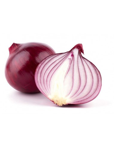 SACO CEBOLLA MORADA 10 KG.