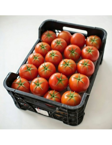 CAJA TOMATE ROJO DANIELA