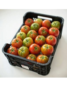CAJA TOMATE ENSALADA