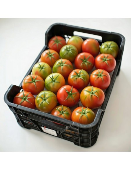 CAJA TOMATE ENSALADA
