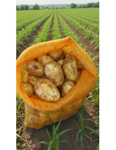 SACO PATATAS FREIR NUEVA 25 KG.