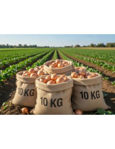 SACO CEBOLLAS 10 KG.