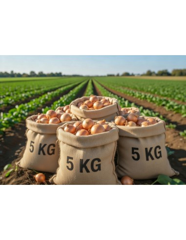SACO CEBOLLA 5 KG.