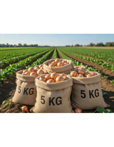 SACO CEBOLLA 5 KG.