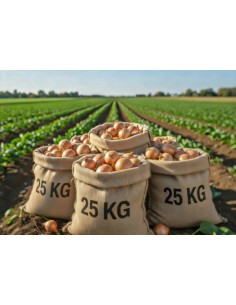 SACO CEBOLLA 25 KG.