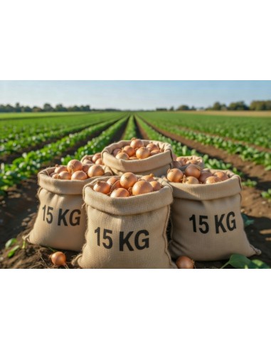 SACO CEBOLLA 15 KG.