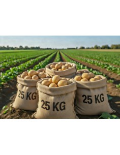 SACO PATATAS 25 KG.