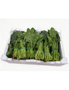 ESPINACAS CAJA