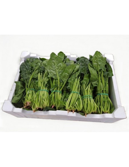 ESPINACAS CAJA