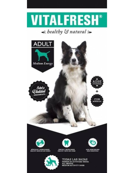 VITALFRESH ADULT MEDIUM 25/10 20 KG.