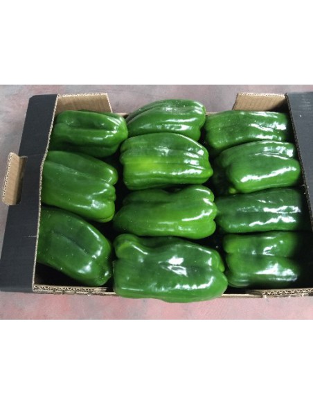 PIMIENTO VERDE