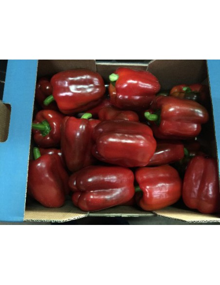 PIMIENTO ROJO