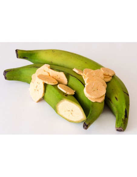 PLATANO MACHO VERDE/MADURO