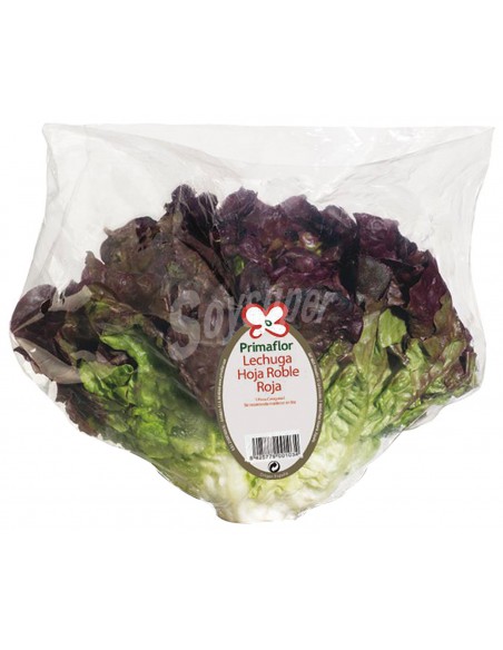 HOJA DE ROBLE ROJA x 10