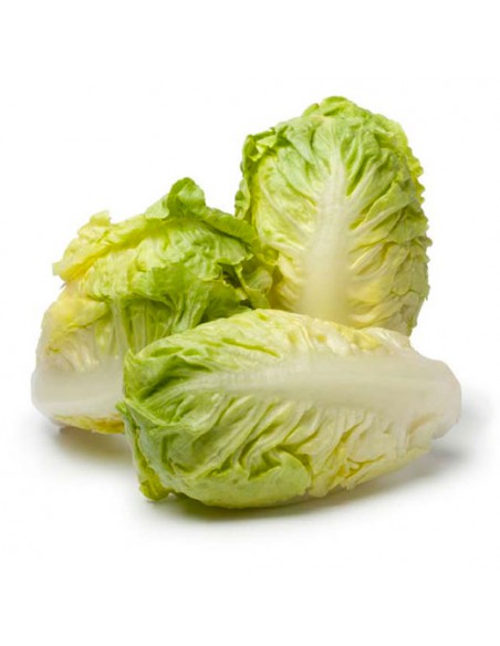 LECHUGA BABY CORAZONES 6X10 BANDEJA