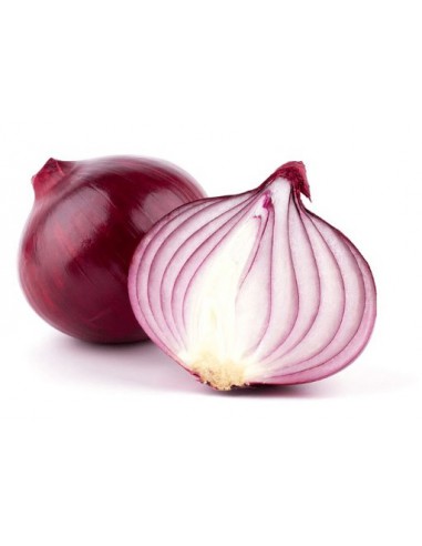 CEBOLLA MORADA