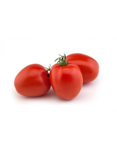 TOMATE PERA