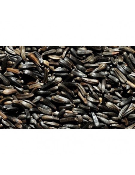 NEGRILLO BOLSA 800 GR.