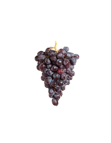 UVA NEGRA CON SEMILLA