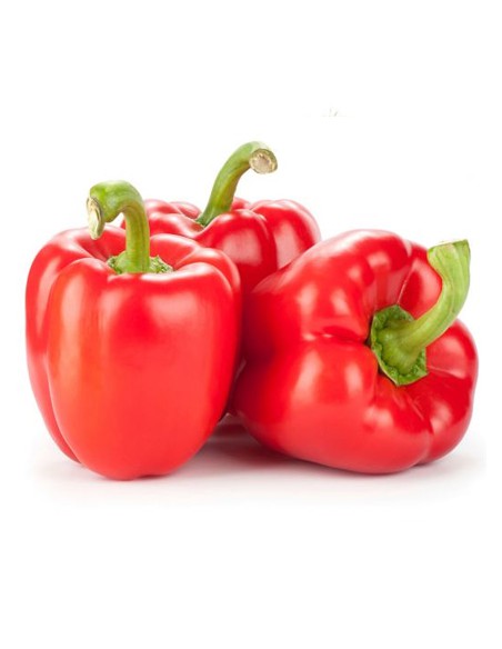 PIMIENTO MORRON PACK 3