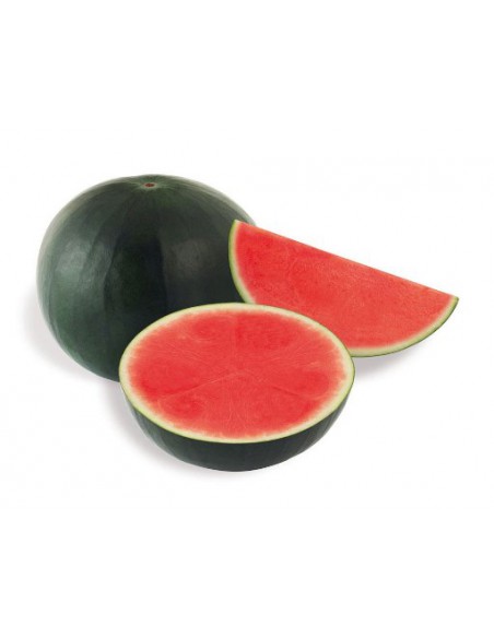 SANDIA VERDE/NEGRA