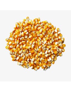 MAIZ 25 KG.