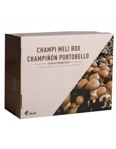 CHAMPIÑON PORTOBELLO