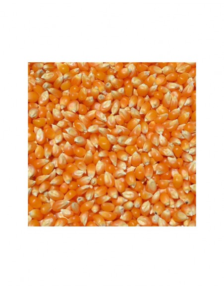 MAIZ PALOMERO PLATA 25 KG.