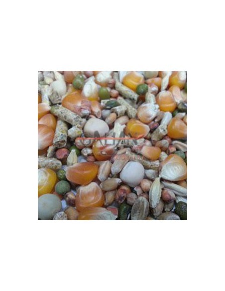 MIXTURA GALLO INGLES CRIA Y MUDA 25 KG.