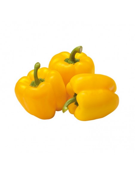PIMIENTO AMARILLO