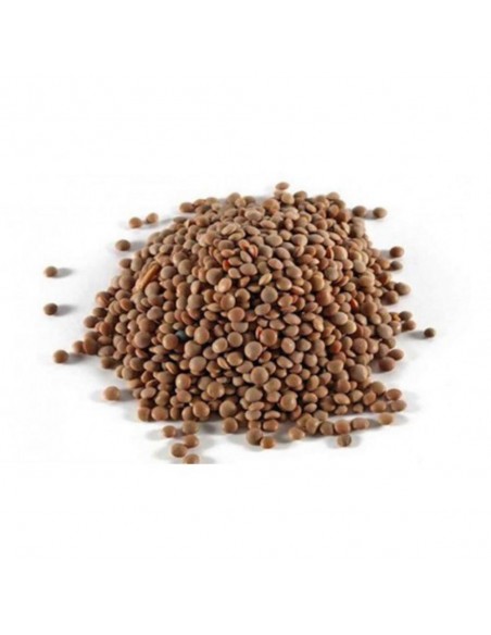 LENTEJA PARDINA 5 KG.
