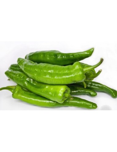 PIMIENTO ITALIANO