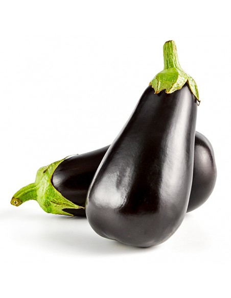 BERENJENA NEGRA