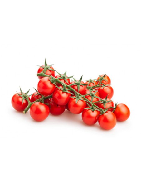 TOMATE CHERRY EN RAMA
