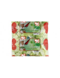 LECHUGA ICEBERG TROCEADA 24 MM. 1 KG. x 5
