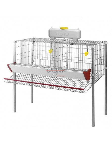 JAULA PONEDORAS 2 DPTOS