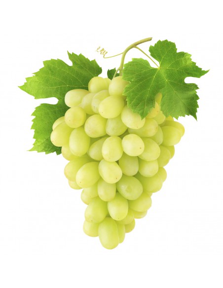 UVA BLANCA SIN SEMILLA