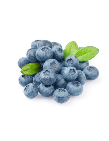 ARANDANOS 250 GR X 8