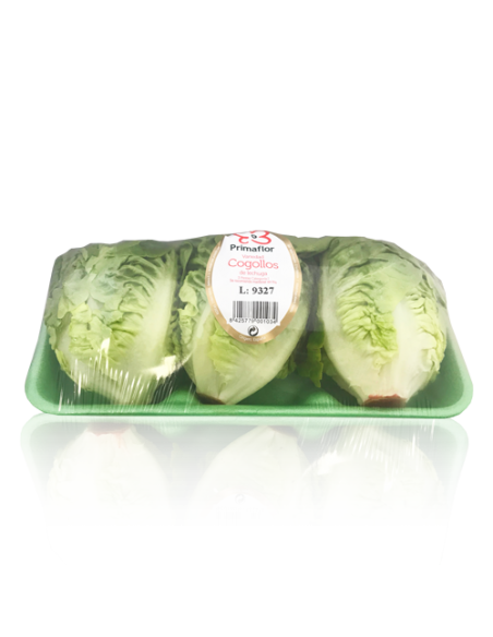 COGOLLOS DE LECHUGA