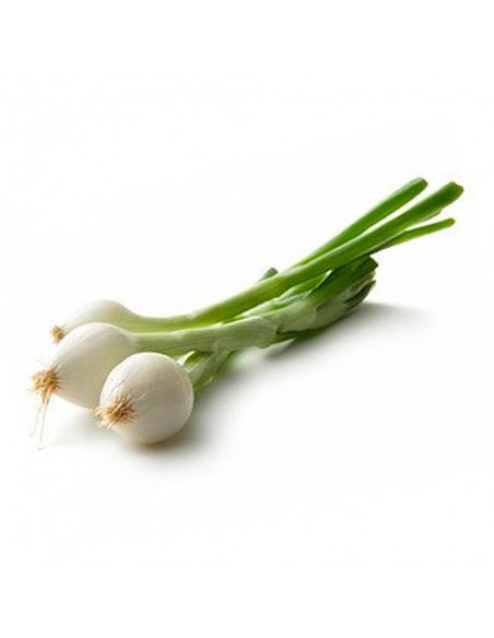 CEBOLLA FRESCA - CEBOLLETA