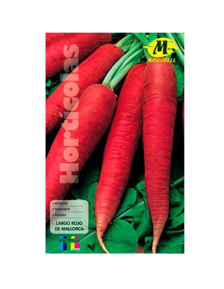 SEMILLAS RABANO LARGO MURCIANO -MAXI-