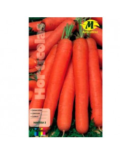 SEMILLAS ZANAHORIA NANTESA -MAXI-